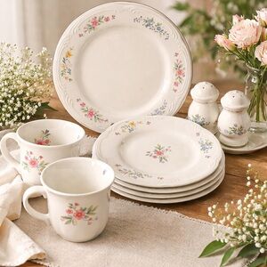 Pfaltzgraff Vintage Meadow Lane Dinnerware Starter Set Plates cups & Salt Pepper